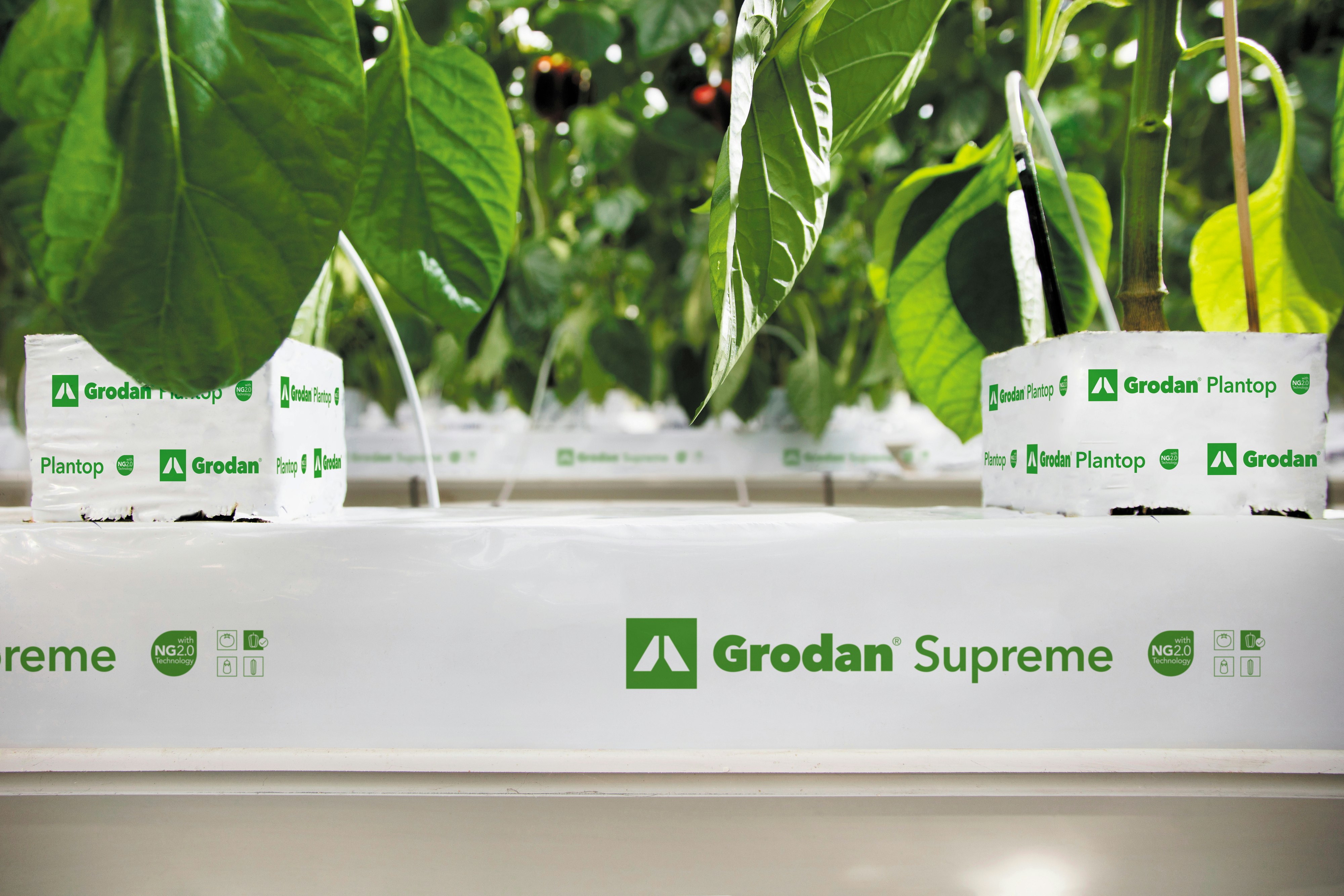 Grodan Supreme