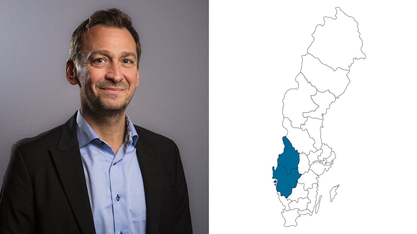 contact person, region syd - väst - central, profile and map, sweden, Calin Papp, SE