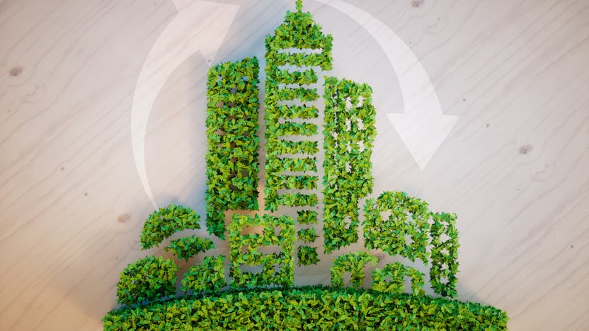 Sustainability, Building, City, Green