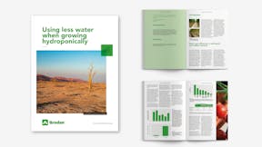 Visual, report, sustainability