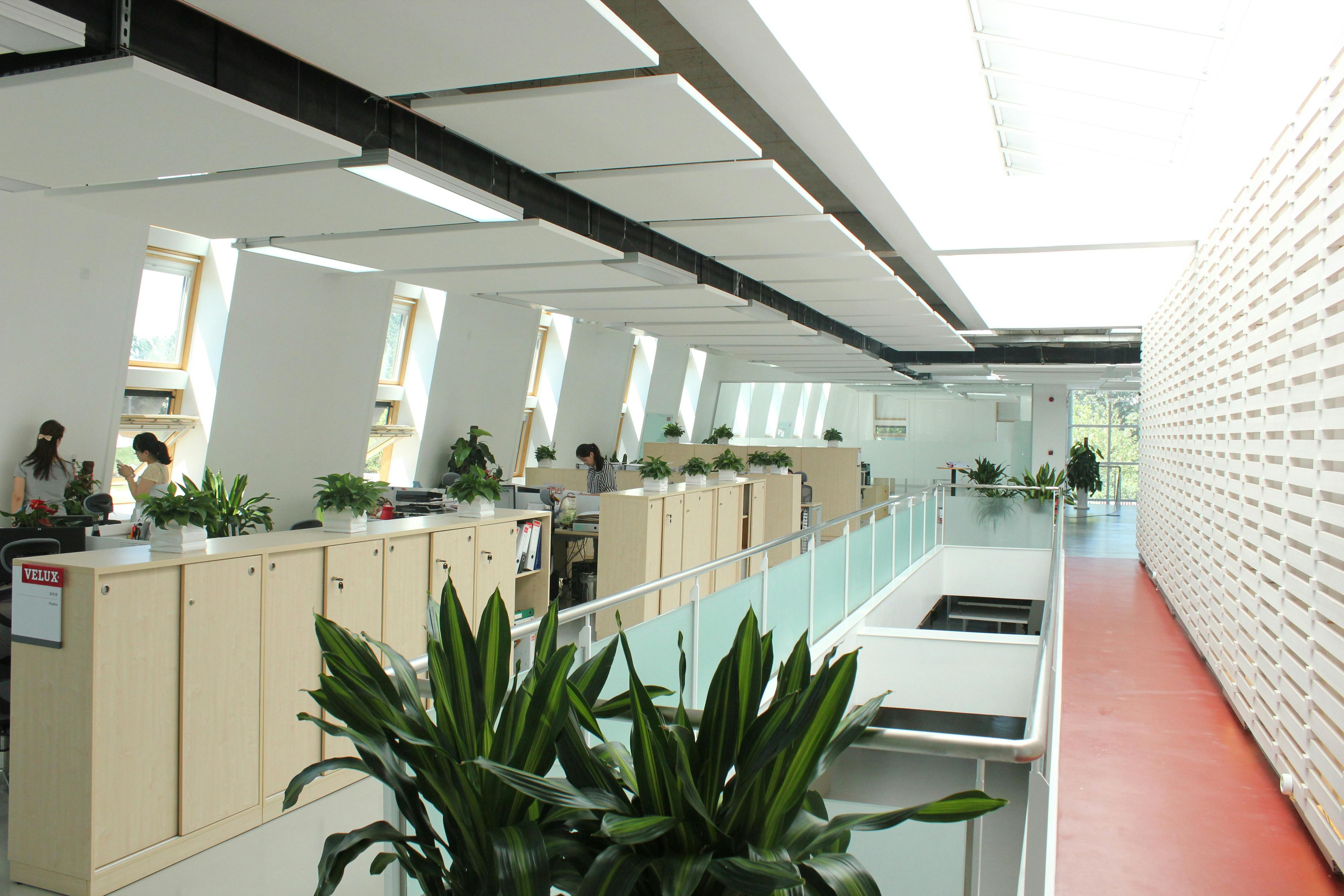 CN Velux Office, Rockfon Eclipse, 2013