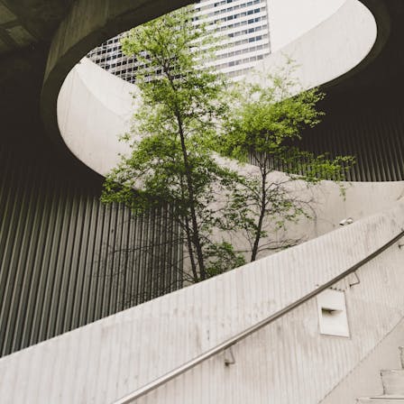 A tree growing inside a round staircase in an urban environment.