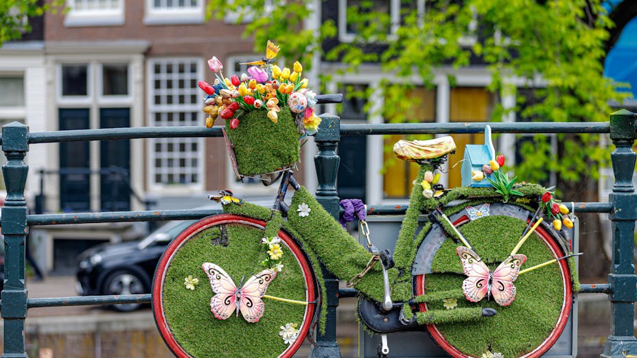 Bicycle covered in green plants in Amsterdam