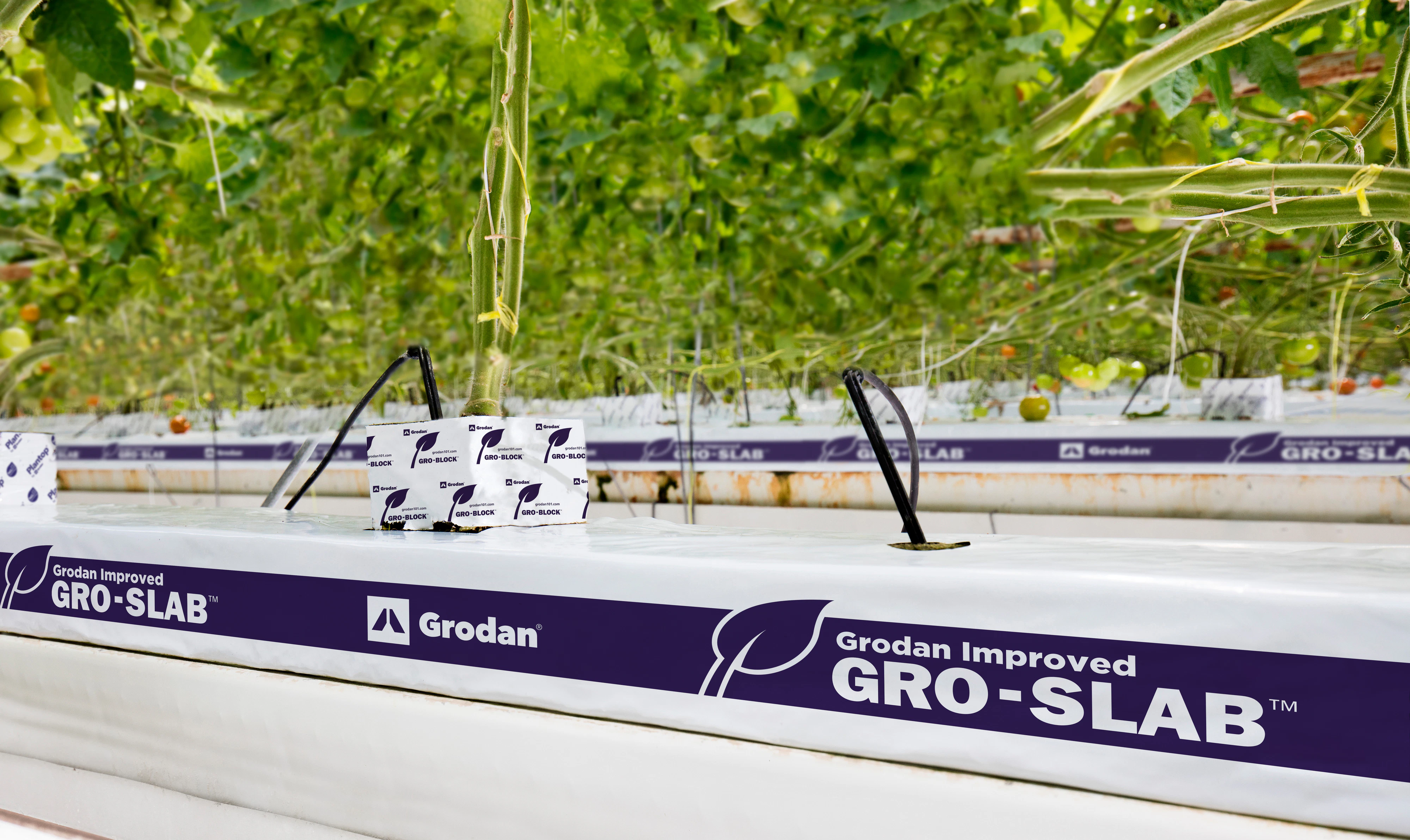 Image of Grodan Improved Gro-Slabs and Uni-Slabs
