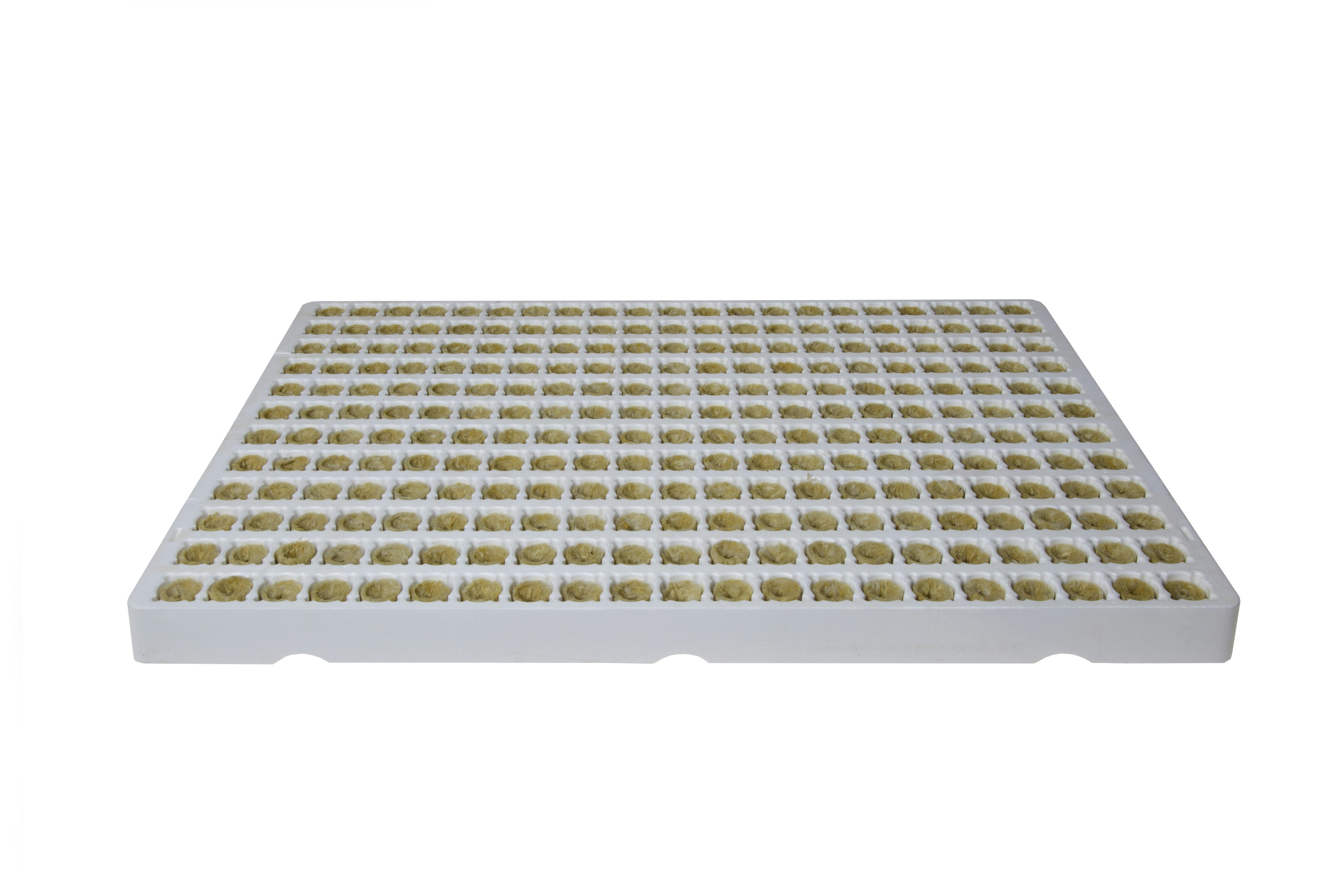 Grodan Plantop NG2.0 Funnel Plugs