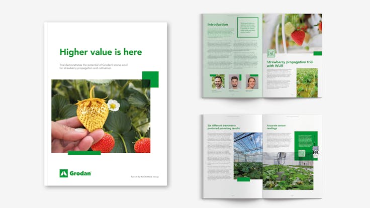 Mock-up strawberry whitepaper higher value is here