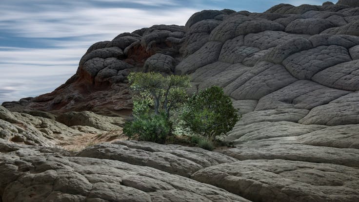 RockWorld imagery, The big picture, rocks, tree, sea