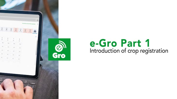 grodan, egro, video, analysis, crop registration