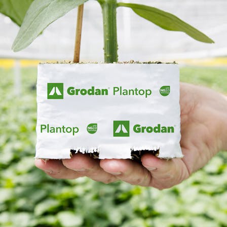 Grodan, product, Plantop