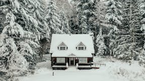 Forest, house, winter, timber