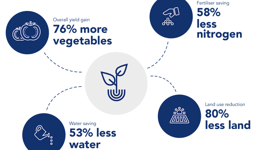 Grodan infographic. Sustainability report 2017