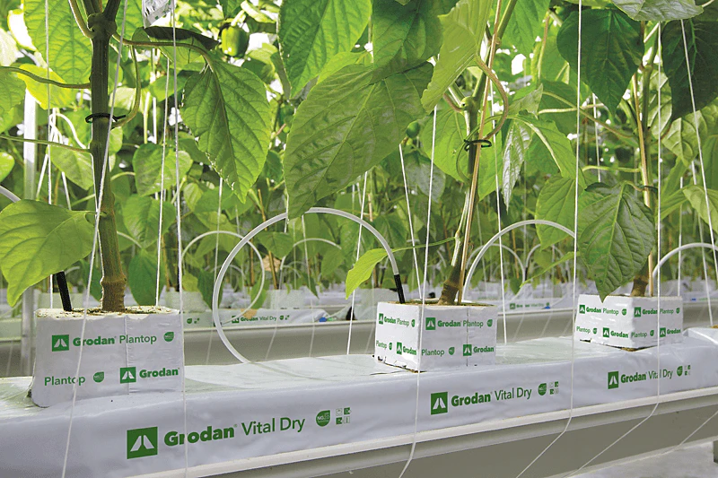 Grodan, product