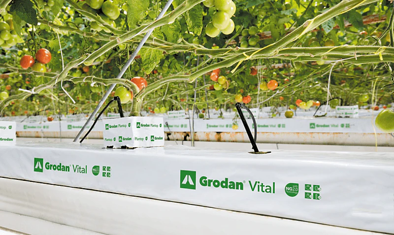 Grodan, product