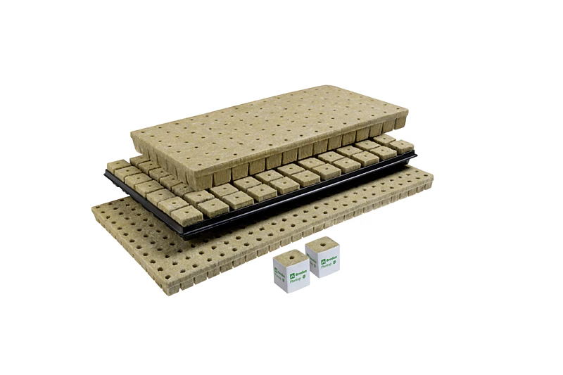 Lettuce product portfolio: AO, SBS, TACO, Lettuce Board, MM