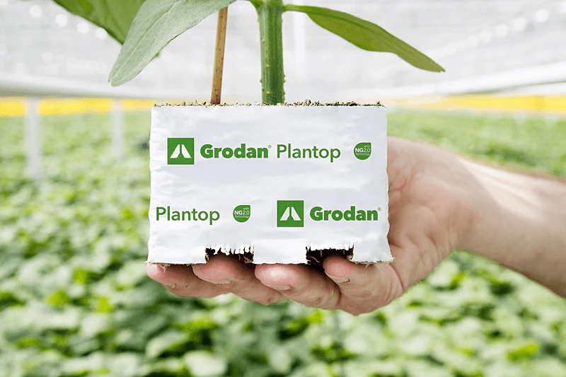 Grodan, product, Plantop