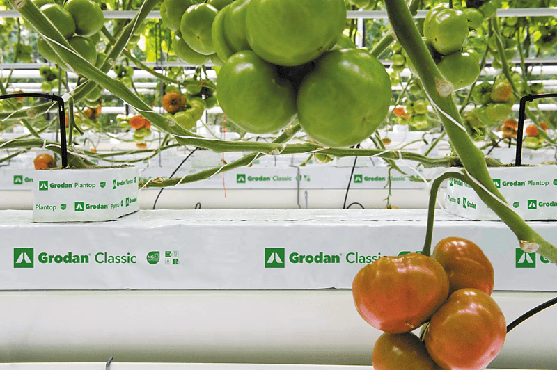 Grodan, product