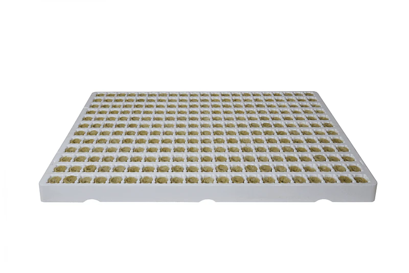 Grodan Plantop NG2.0 Funnel Plugs