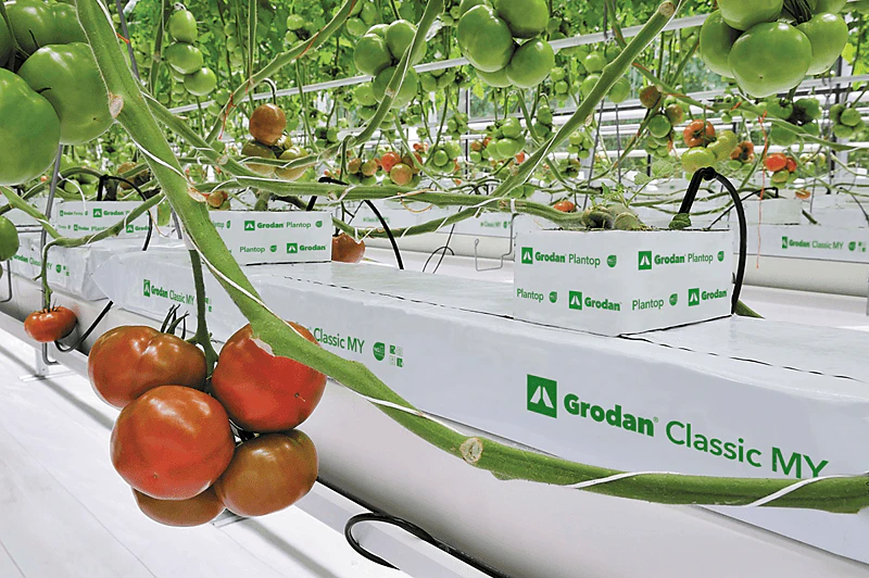 Grodan, product