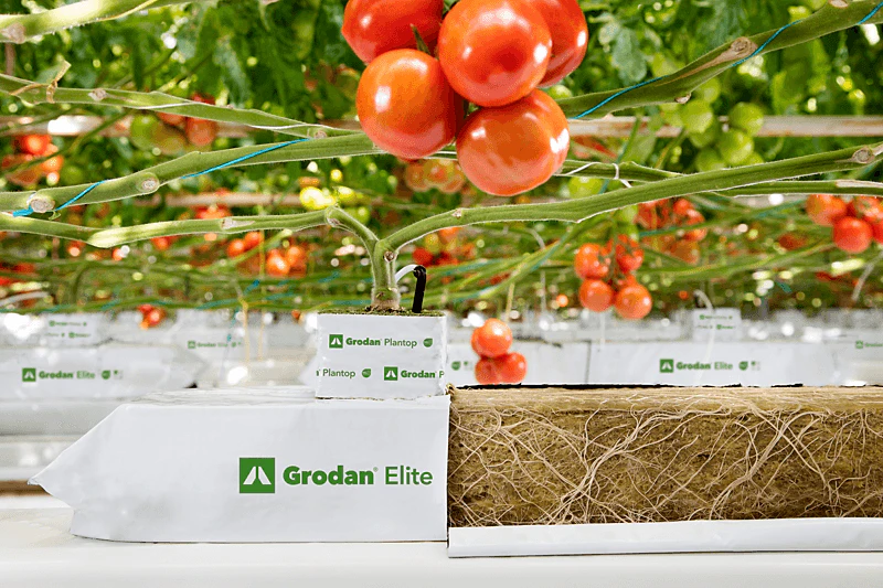 Grodan, product