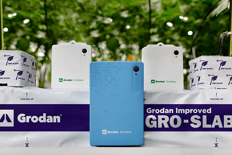 GroSens 2.2 + Climate Sensors in Grodan Improved slab with cannabis plants