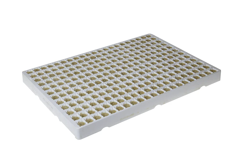 Grodan Plantop NG2.0 Funnel Plugs