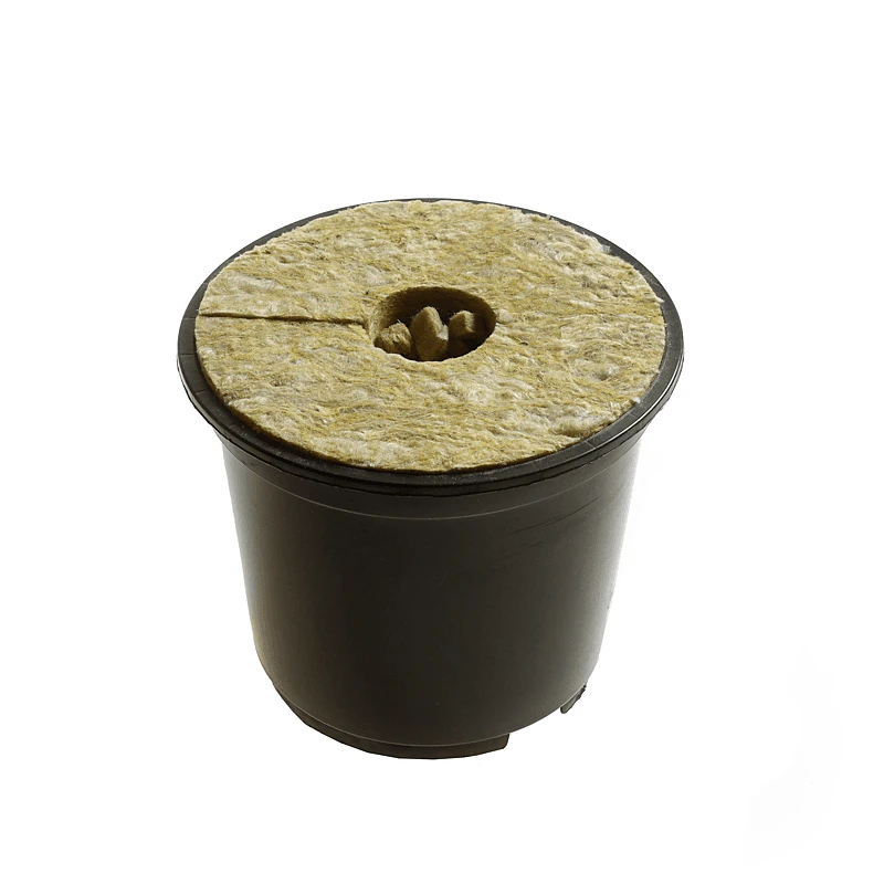 Grodan Grofit Pot