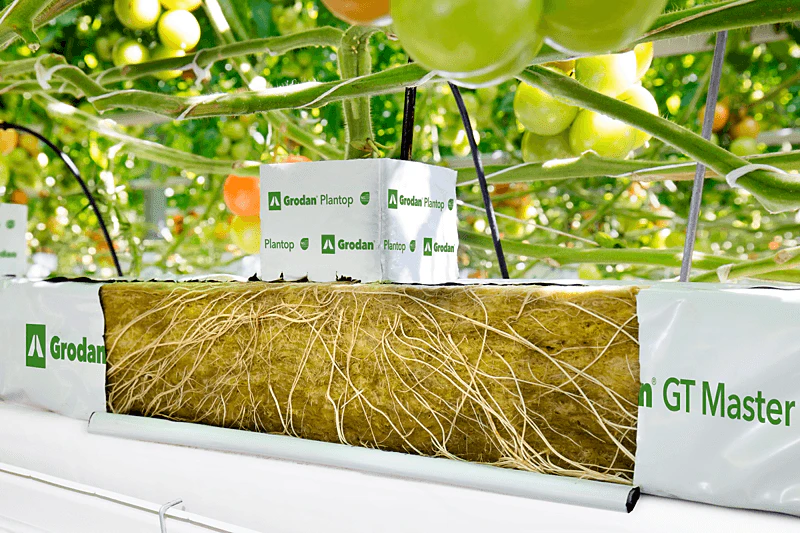 Grodan, product