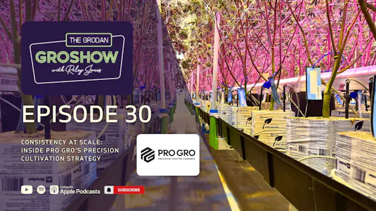 Consistency at scale: Inside Pro Gro’s precision cultivation strategy