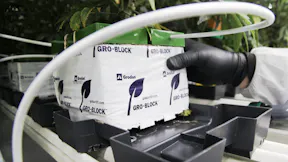 Grodan Improved close up - Cannara Biotech