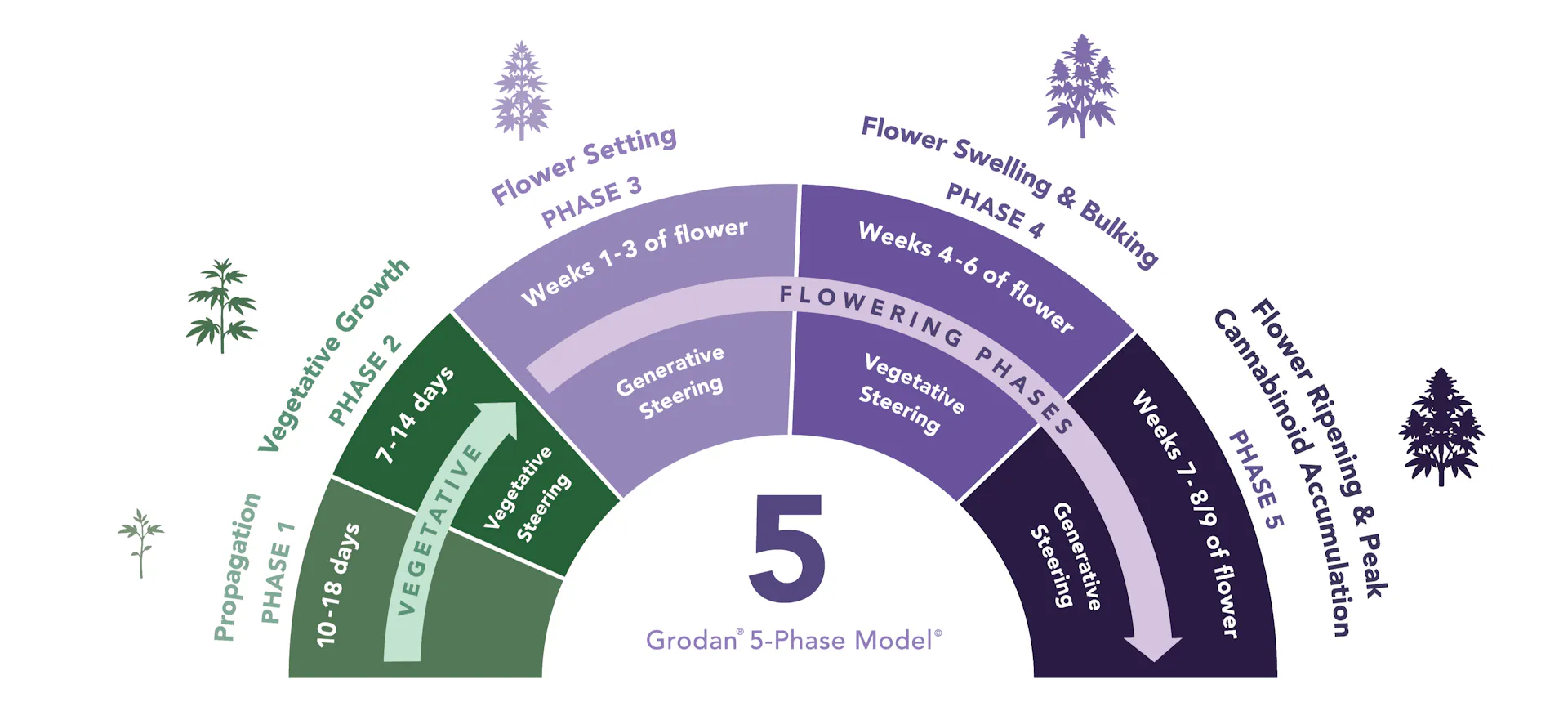 Grodan 5-Phase Model Speedometer