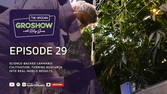 GroShow Episode 29 - Mockup