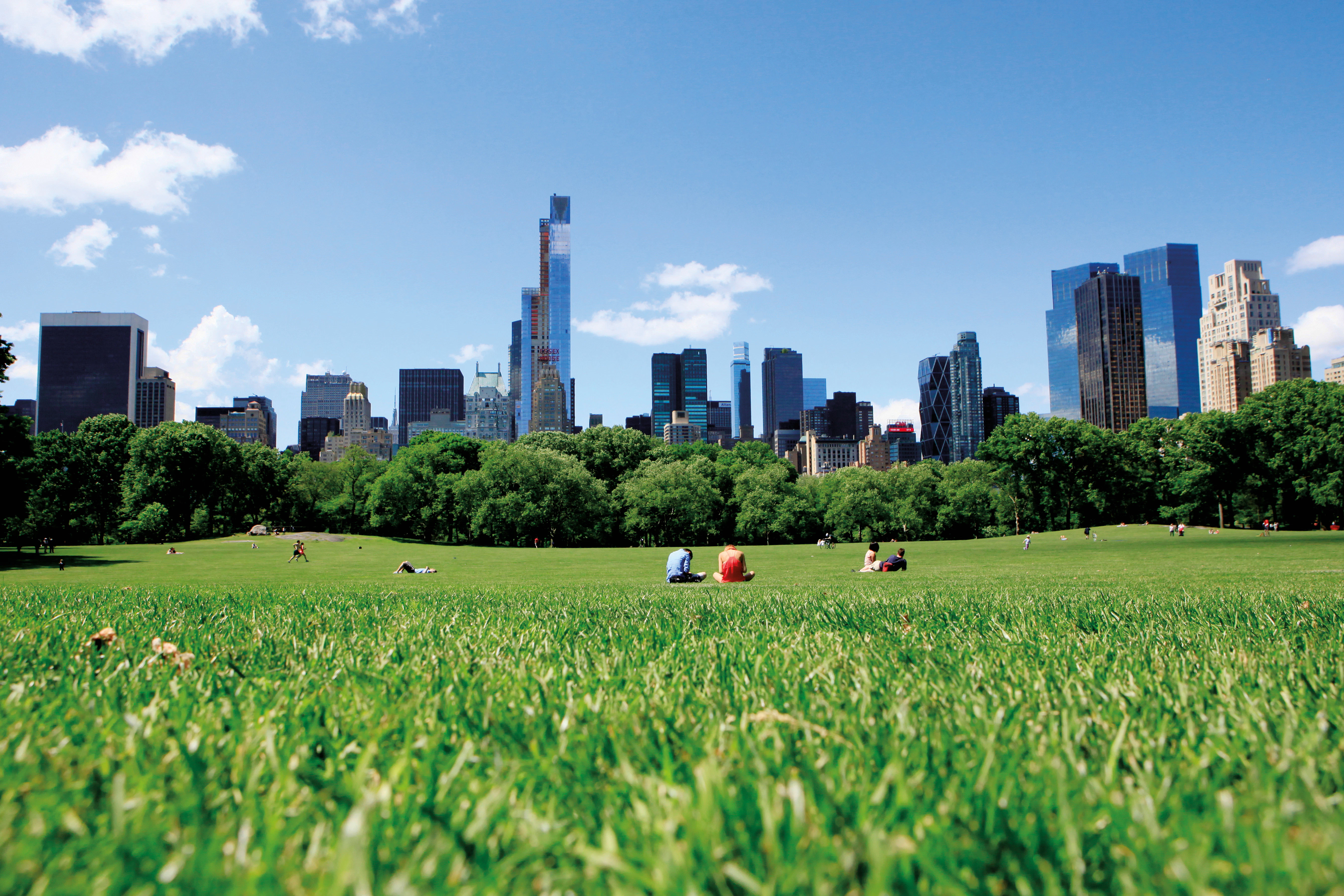 RockWorld imagery,The Big Picture, park, city, greenery