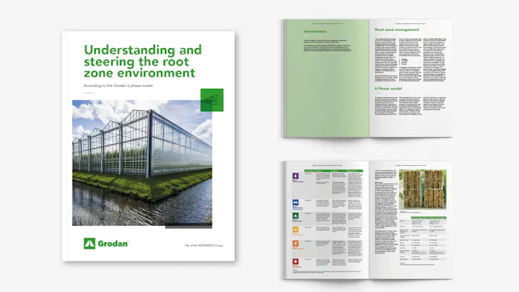 visual, whitepaper, TTL campaign, EC