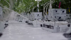 Endless Biotech - Grow Room