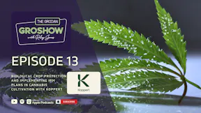 GroShow Podcast Ep 13 - Thumbnail
