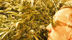 Everest Fernandez In Grow Room