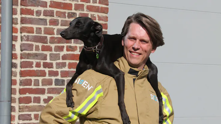foto brandhond 2