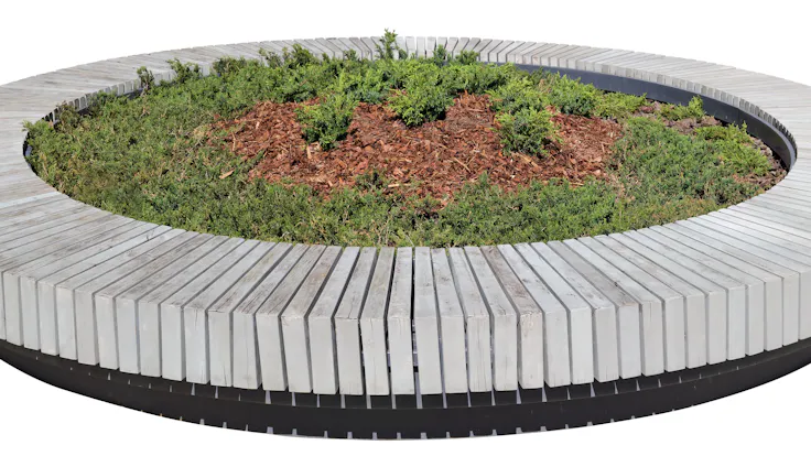 Round bench with growing juniper for relaxation. Isolated on white