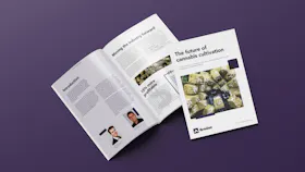 Whitepaper Mockup