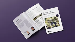 Whitepaper Mockup
