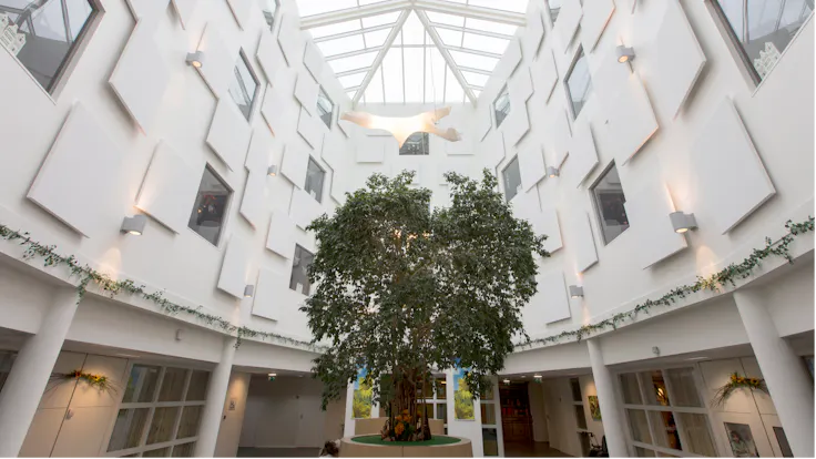 The Netherlands, Silvolde, Woonzorgcentrum De Schuylenburgh Azora, Fleurbaaij Totaalafbouw, Health, Reception, Corridor, Rockfon Eclipse Wall, Be-edge, 1160x1160, white