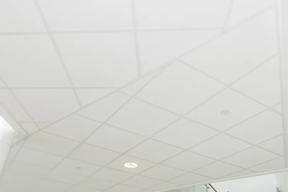 20121206_RW-RF_PHO_001427