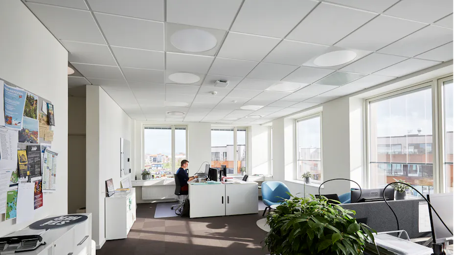 Office using Rockfon Canva to draw in more natural light