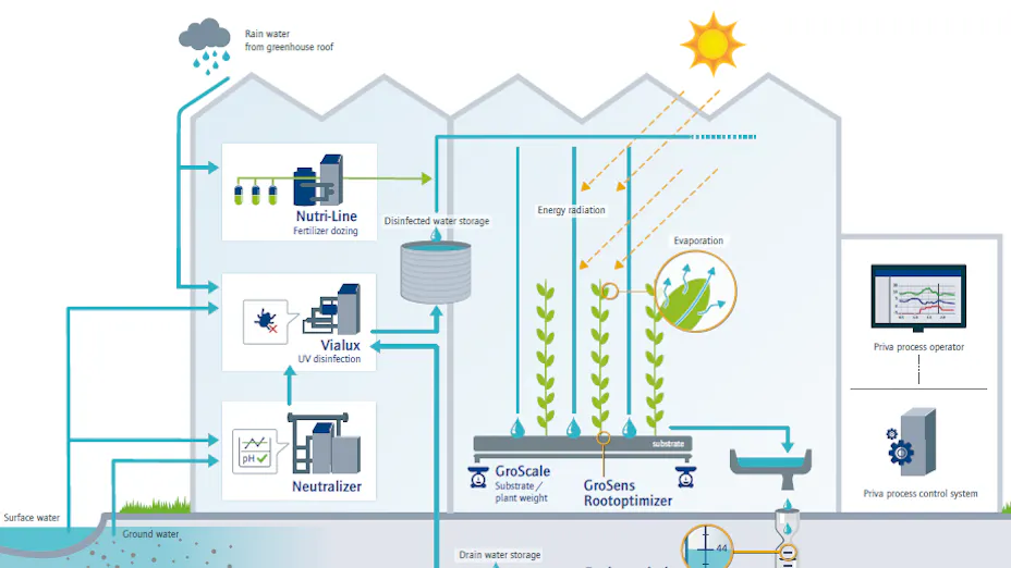 A scheme showing the flow of water from the different sources through the greenhouse to the plants