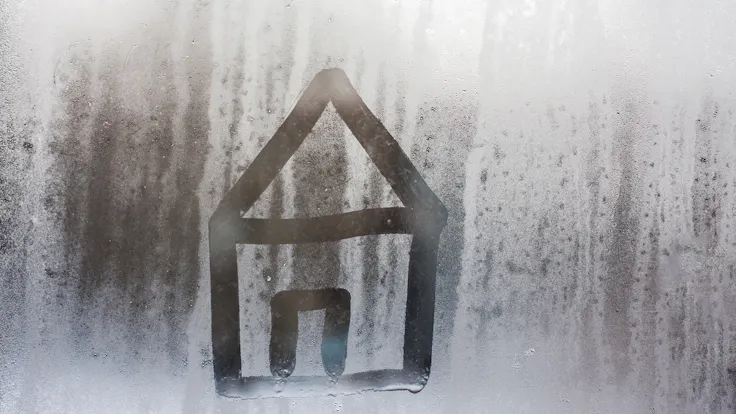 mould, humidity, moisture, water, photo, germany, construction damage, water drop
