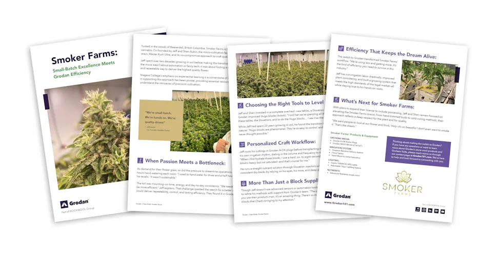 Case Study Mock Up