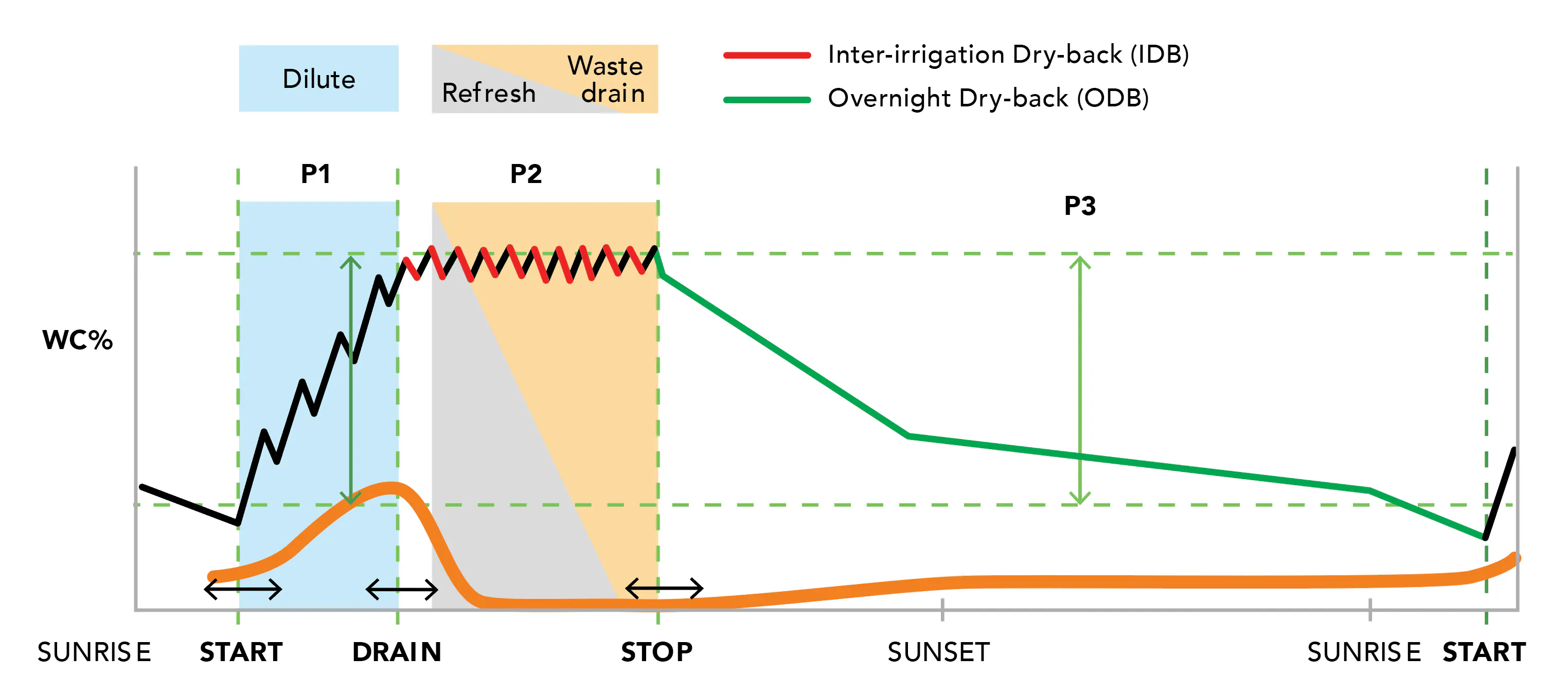 Grodan’s DAY-DYNAMIC MODEL