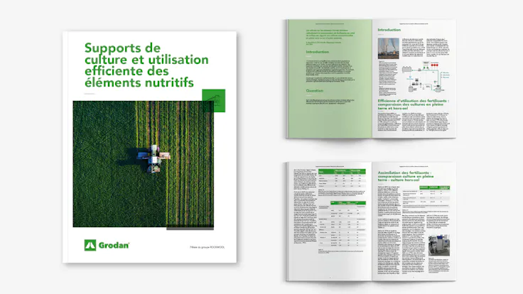Visual, report, sustainability, FR