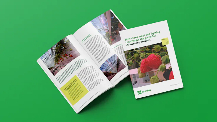 Whitepaper mock-up Grodan Fluence strawberry trial