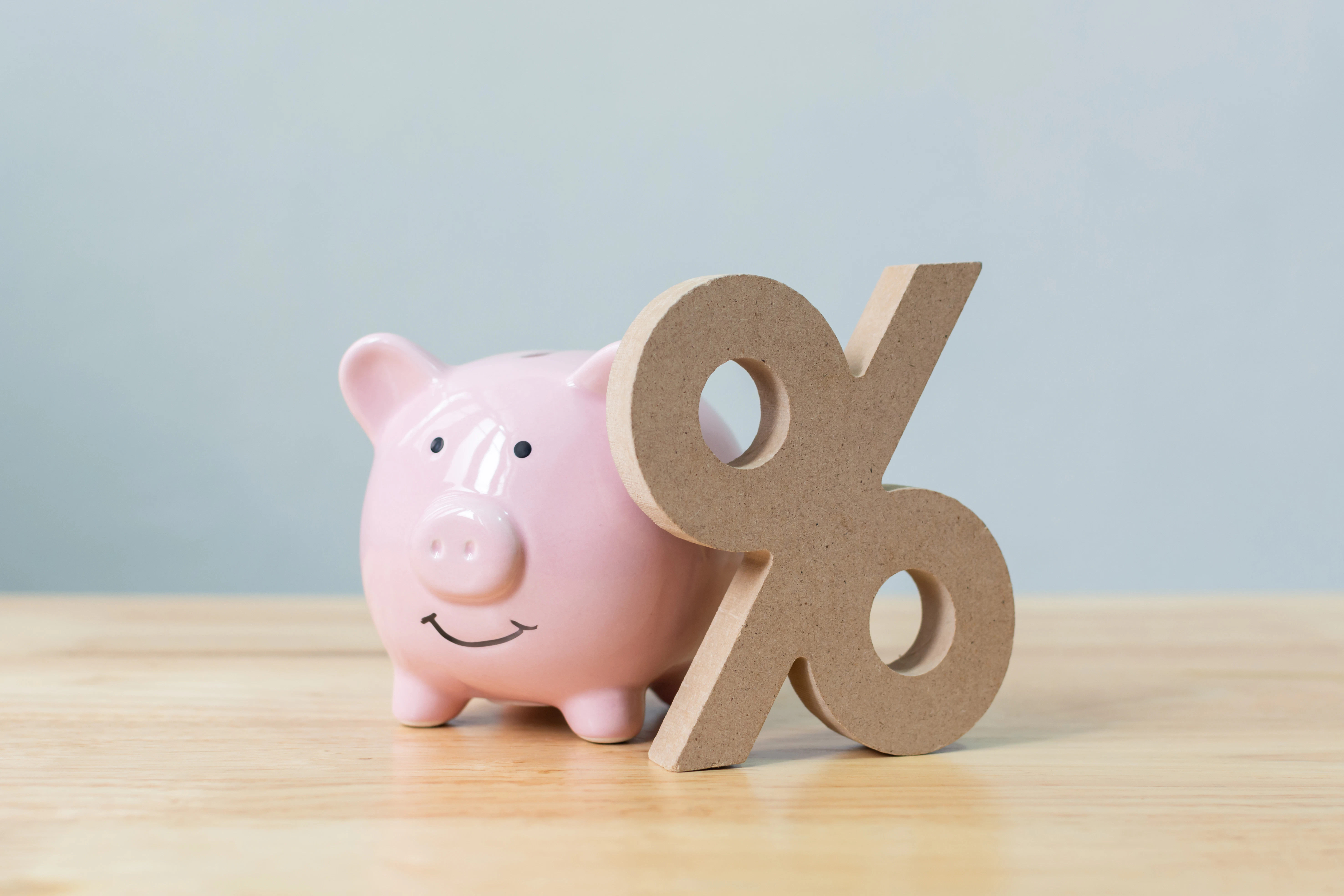 piggy bank, money, , funds, state subsidy, germany